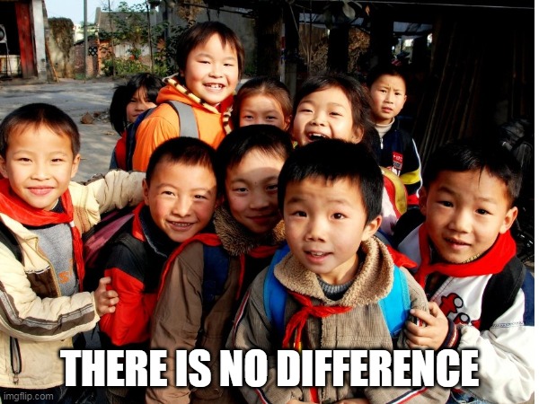there is no difference meme