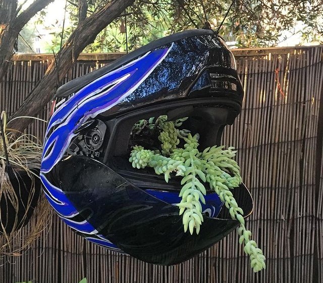 Turning an old helmet into a stylish planter